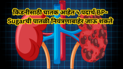 किडनीसाठी घातक आहेत ५ पदार्थ! BP-Sugarची पातळी नियंत्रणाबाहेर जाऊ शकते, आजच खाणे सोडा