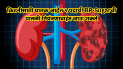 किडनीसाठी घातक आहेत ५ पदार्थ! BP-Sugarची पातळी नियंत्रणाबाहेर जाऊ शकते, आजच खाणे सोडा