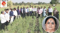 संशोधनातून कृषी विकास