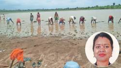 तलावांची जीवनवर्धिनी