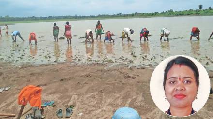 Shalu Kolhe initiatives