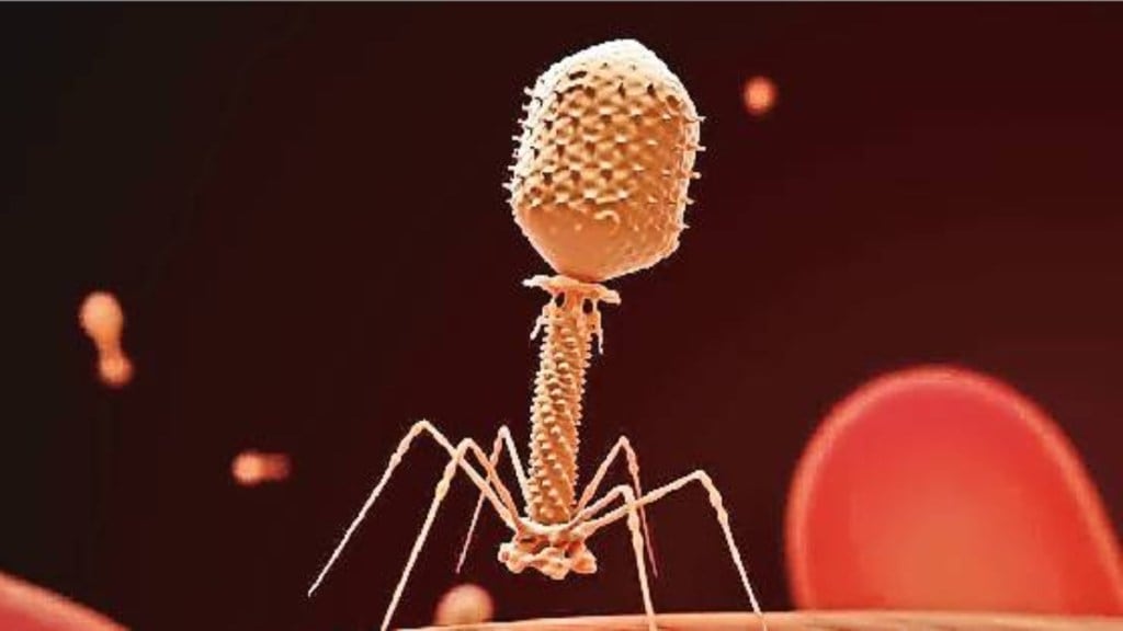 Loksatta kutuhal how electron microscope helps see viruses