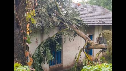 Elephants from Karnataka cause panic in Maharashtra and Goa