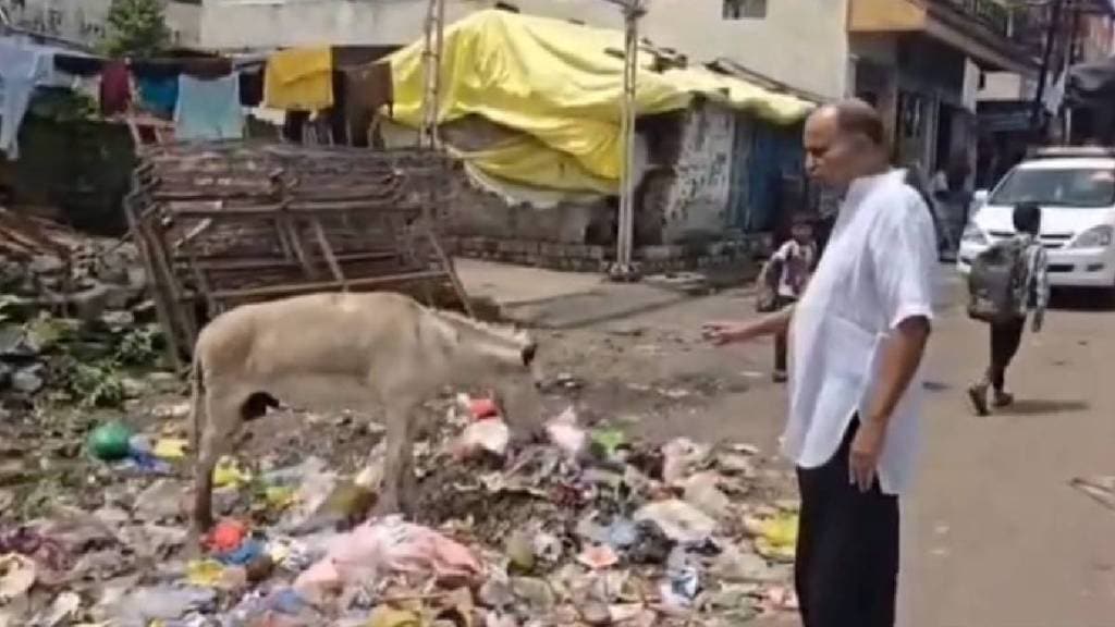 Pandharkawada city is facing a huge garbage problem today