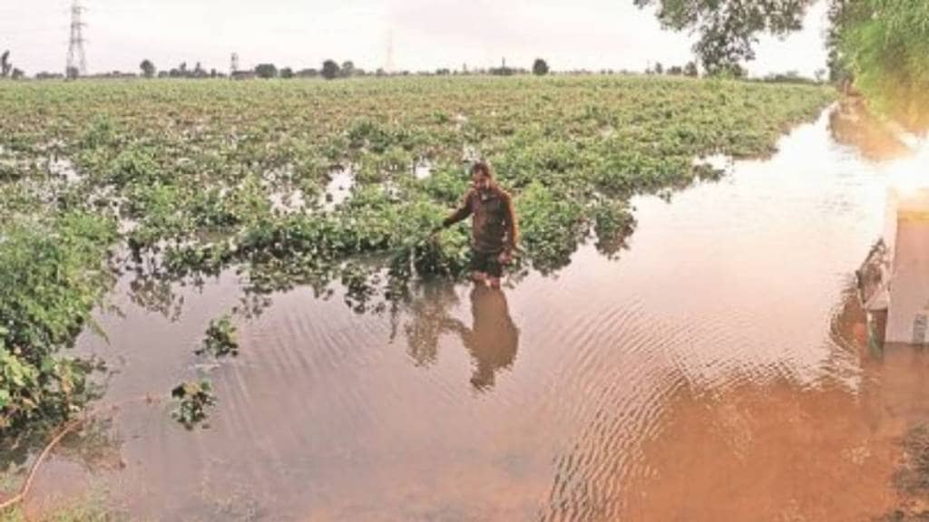 compensation for flood-affected farmers
