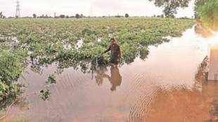 compensation for flood-affected farmers