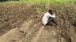 Maharashtra Heavy Rainfall: शेतकऱ्यांवर ओले संकट!; नावावर शेती, बिनमातीची!