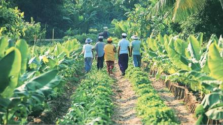 innovative agritourism ideas