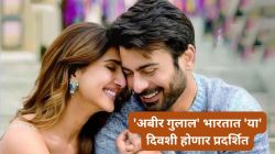 पाकिस्तानी अभिनेत्याचा सिनेमा भारतात ‘या’ दिवशी होणार प्रदर्शित; पहलगाम हल्ल्यानंतर चित्रपटावर घालण्यात आली होती बंदी