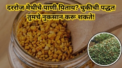 मेथीचे पाणी उकळून प्यावे की भिजवून? तज्ज्ञ सांगतात सर्वोत्तम पद्धत आणि फायदे