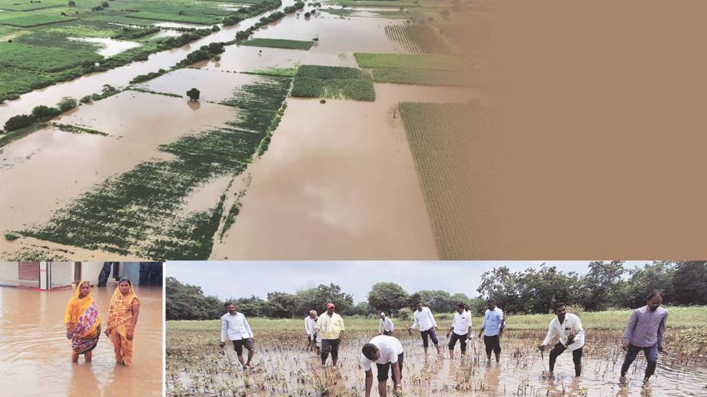 Marathwada rain crisis news