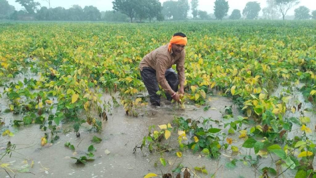 Patal Ganga river Floods crops
