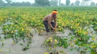 Opposition slams Maharashtra government over meager aid flood hit farmers demand loan waiver wet drought declaration