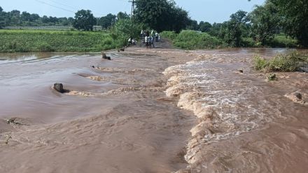Farmer swept away flood heavy rains Chikhli Buldhana tragedy Disaster management