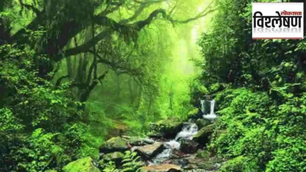 forest health India