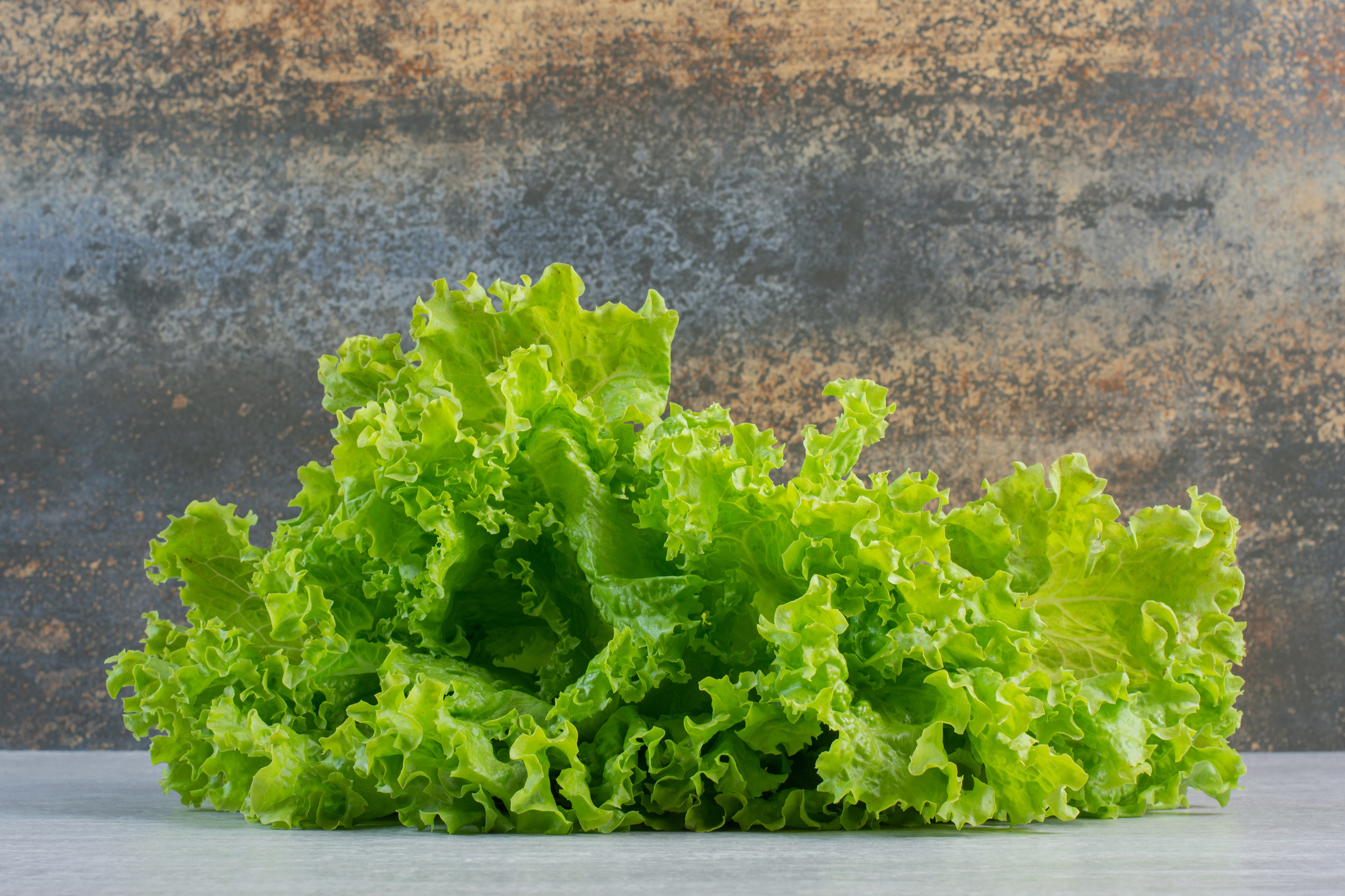 Lettuce benefits