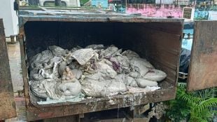 mira bhayandar ganesh idols immersed artificial ponds transported in garbage trucks