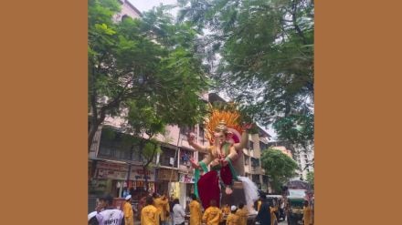 mira-bhayandar municipal authorities urged trim trees ahead ganesh visarjan processions