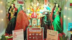 पुसेसावळीतील ‘अवयवदान प्रबोधनपर सजावट’ चर्चेत; काशीद कुटुंबीयांचा जनजागृतीपर उपक्रम