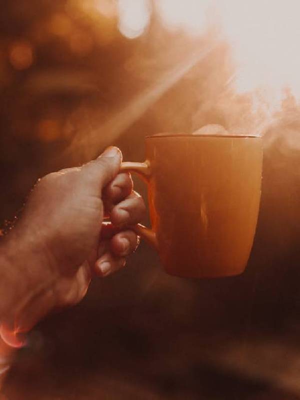 green tea, benefits of green tea