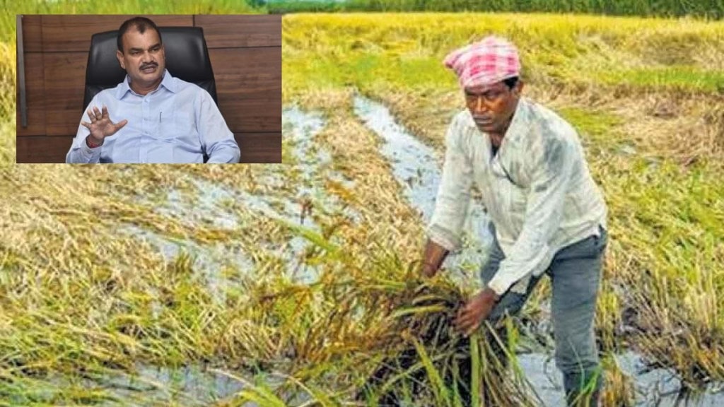 heavy rain damages crops across maharashtra minister bharane