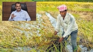 heavy rain damages crops across maharashtra minister bharane
