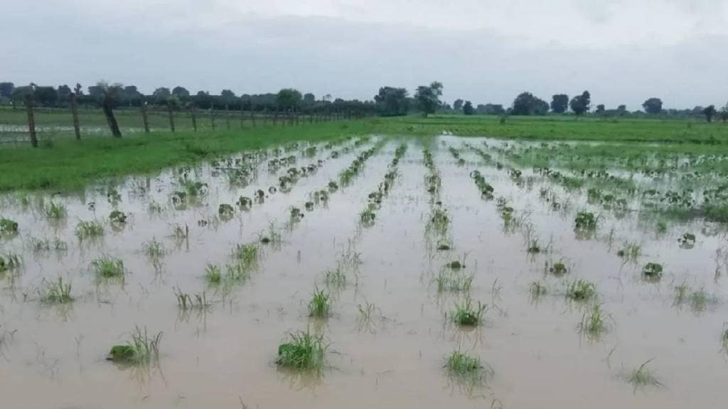 Beed district hit by heavy rain again