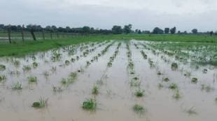 Beed district hit by heavy rain again