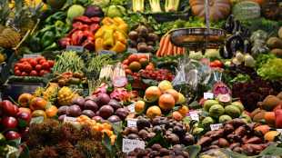 protein rich vegetables