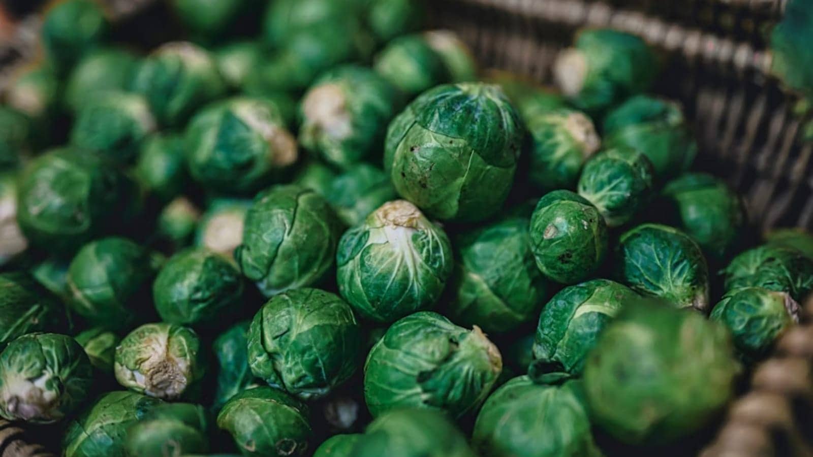 food, brussel sprouts