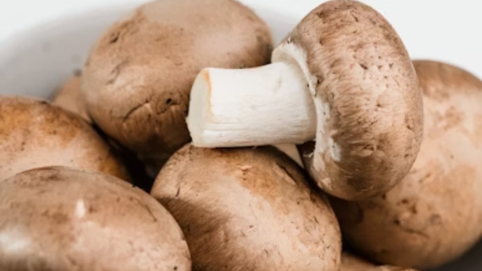 food, mushrooms