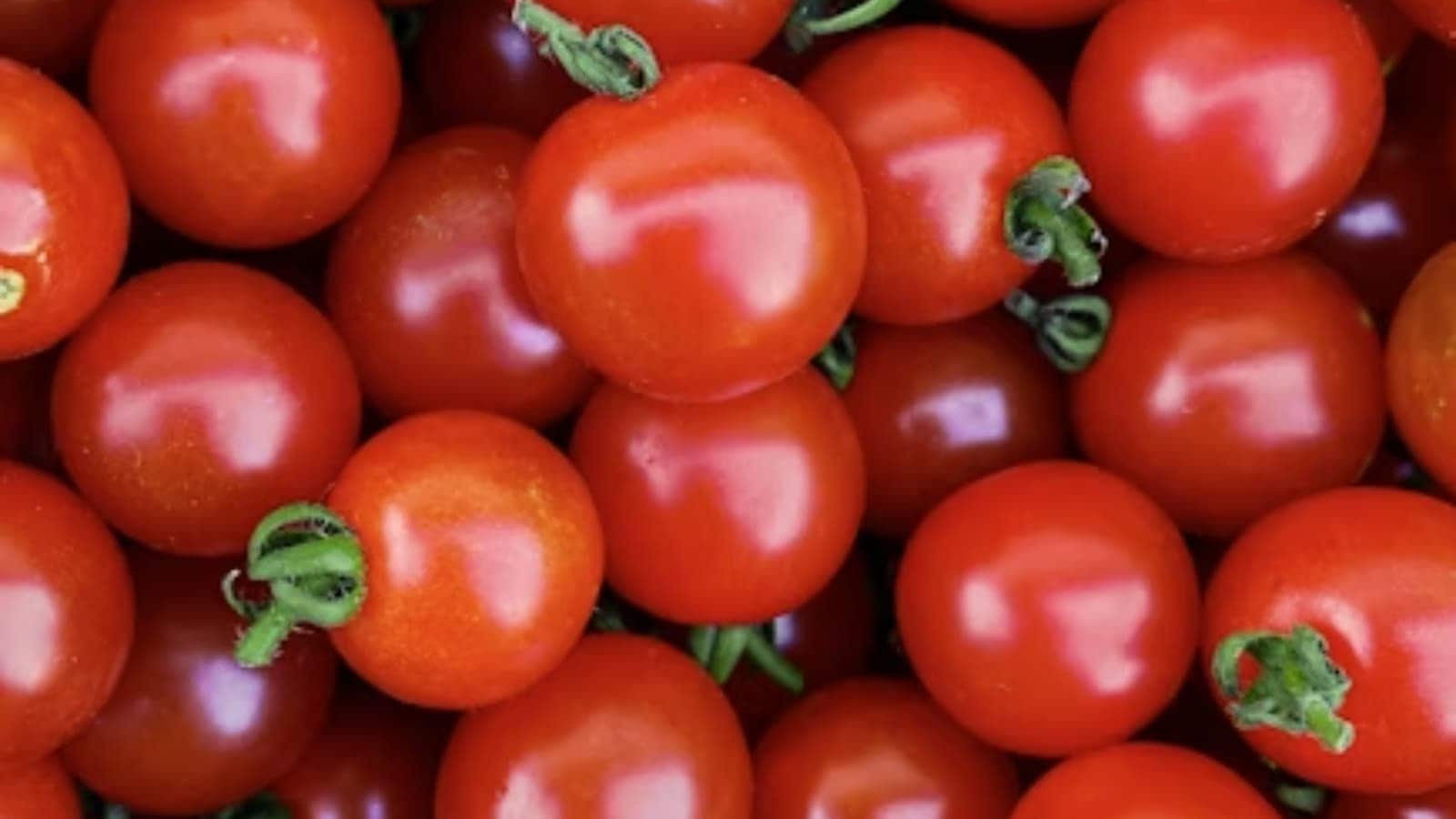 health, tomatoes