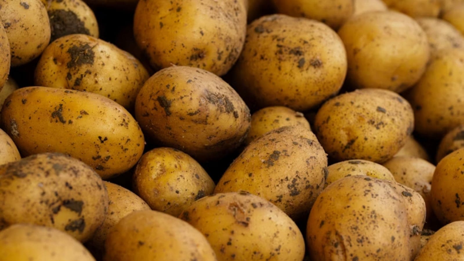 health, potatoes