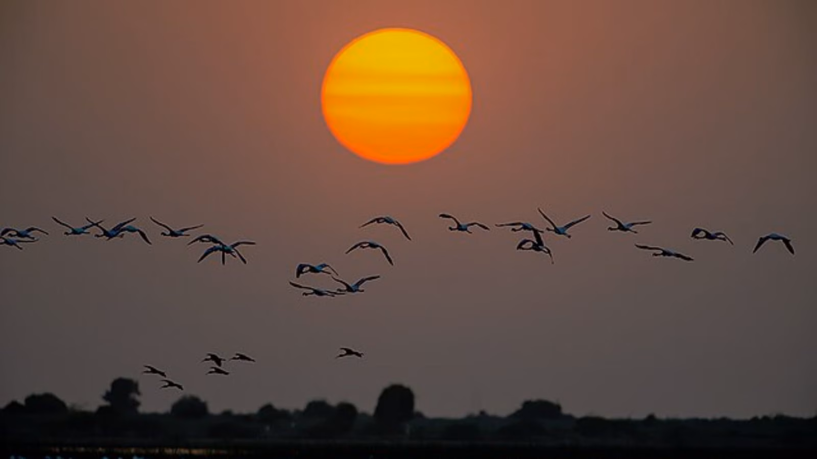 भारतातील अदभुत सूर्यास्त : पाहायचा असेल तर ‘ही’ ६ अप्रतिम ठिकाणे तुमच्यासाठीच, पाहा Photos