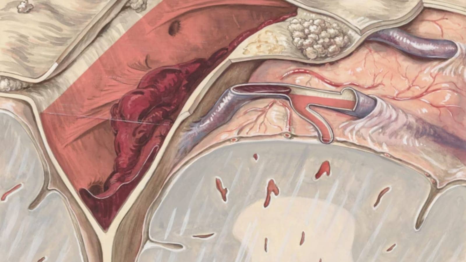 heart health