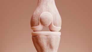habits-to-improve-bone-health