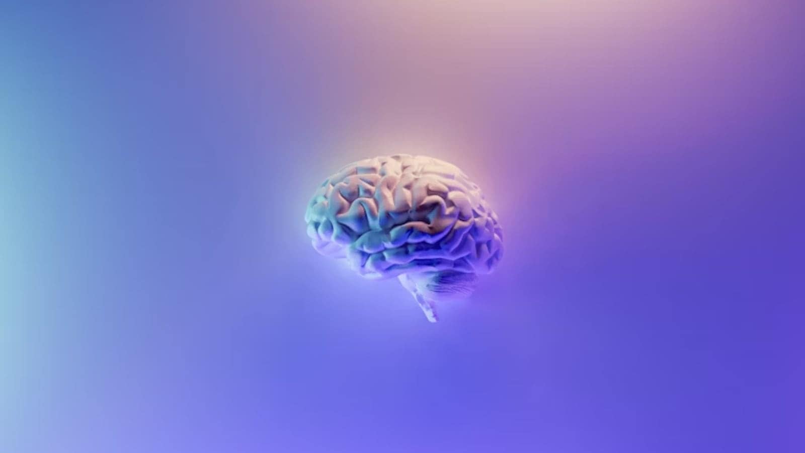health, brain