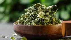 Kasuri Methi: कसुरी मेथीचे ‘हे’ आरोग्यदायी फायदे तुम्हाला माहिती आहेत का?
