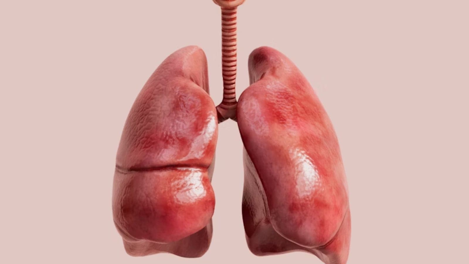 lungs, health