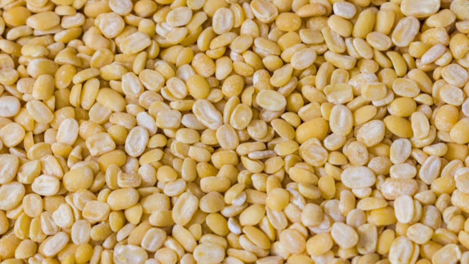 moong dal