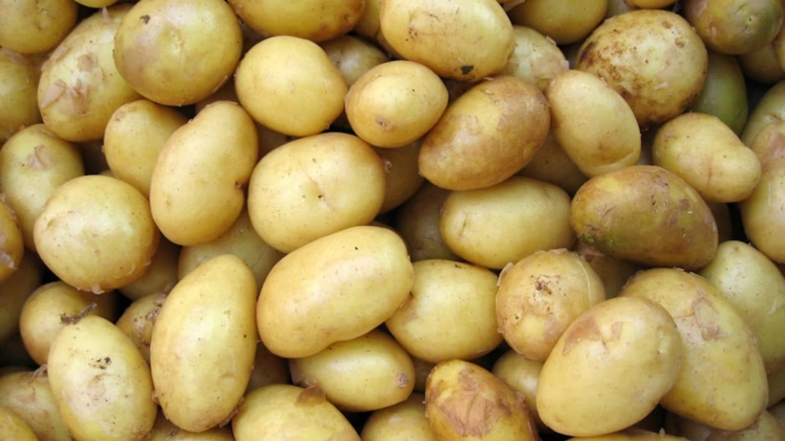fried food