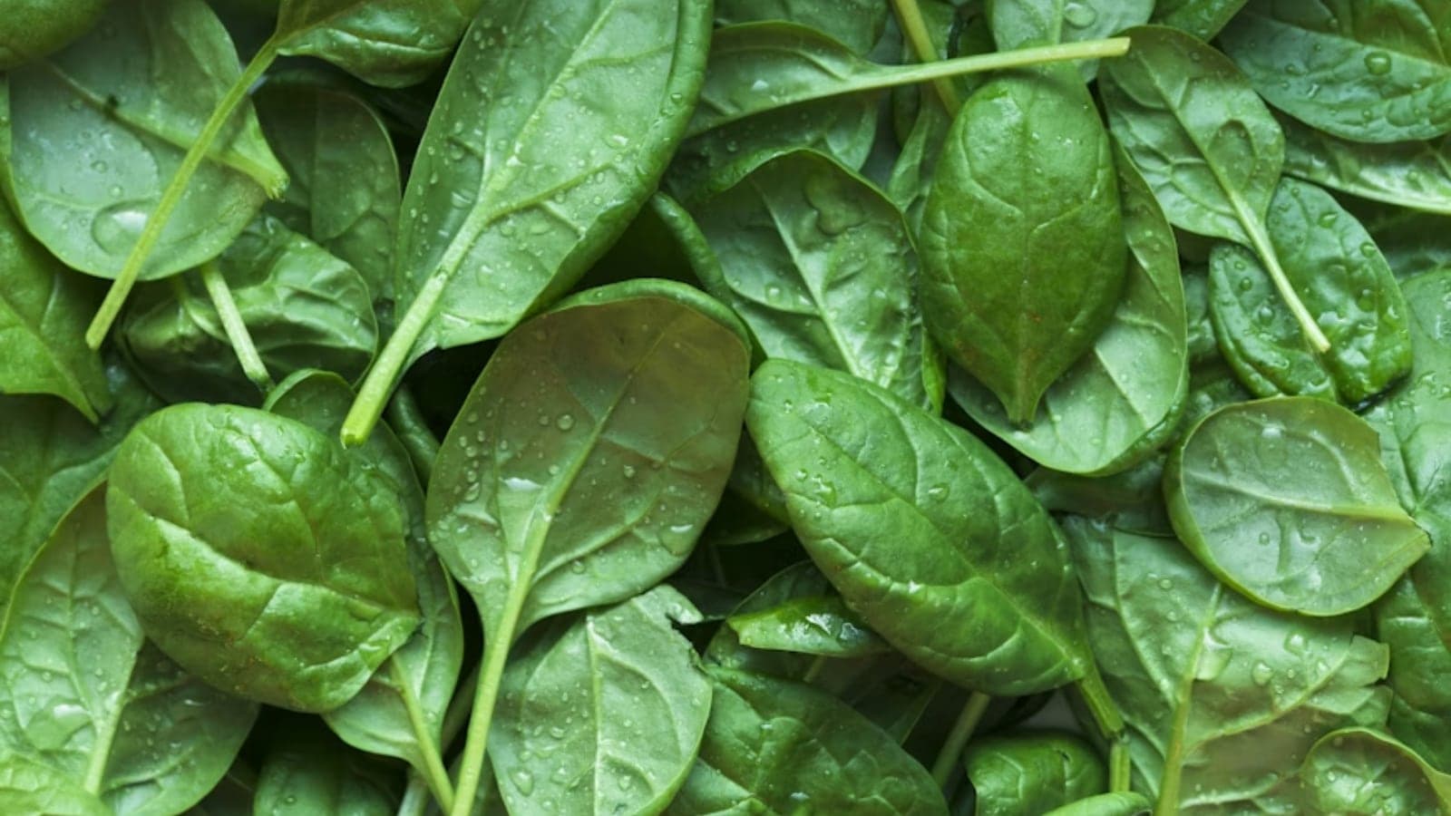 spinach