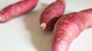 sweet-potato ealth benefits
