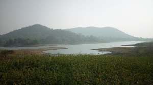 वेगवेगळे प्राणी पाहायला आवडतात? मग आयुष्यात एकदा तरी ‘या’ ६ वन्यजीव अभयारण्यांना भेट द्या