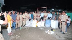 मराठवाड्यात कापसाच्या पिकात गांजा-अफूची शेती ! चार जिल्ह्यांत १ हजार ११९ किलो गांजा जप्त…