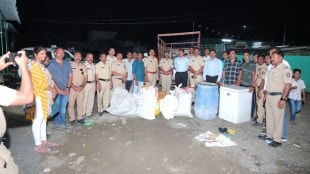 illegal cannabis farming found in cotton fields in marathwada