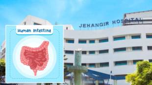 advanced intestinal treatment