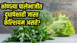 ‘या’ पालेभाजीत दुधापेक्षाही जास्त कॅल्शियम! रोज खाल्ल्यास शरीराला होतात ‘असे’ फायदे