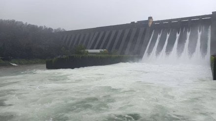 Water level in Koyna Dam reaches 99 percent due to heavy rains Water level in Koyna Dam reaches 99 percent due to heavy rains