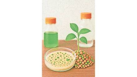 bio-friendly microorganisms